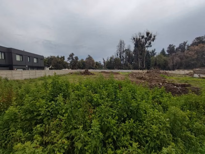 BUIN, SECTOR DE MAIPO
