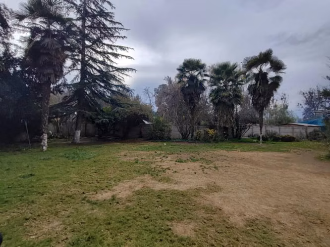 BUIN, SECTOR DE MAIPO