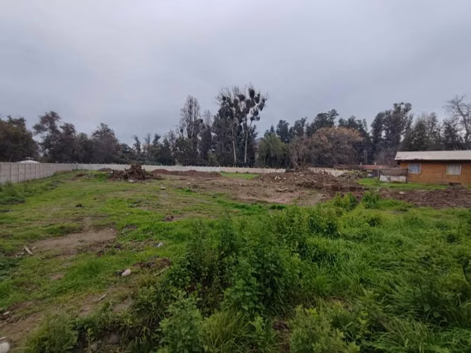 BUIN, SECTOR DE MAIPO