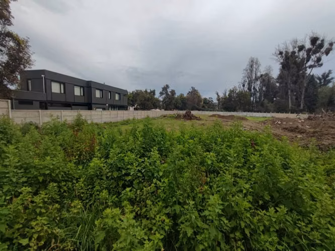 BUIN, SECTOR DE MAIPO