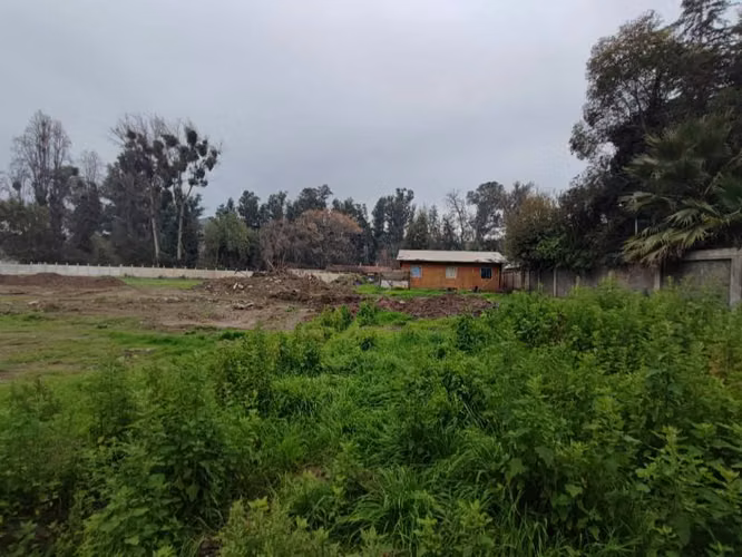 BUIN, SECTOR DE MAIPO