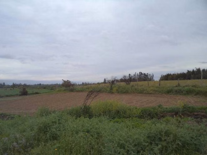 HUIMEO, LONGAVÍ