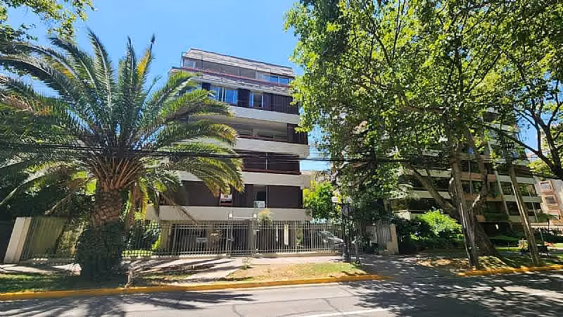 HOLANDA PROVIDENCIA ULTIMO PRECIO