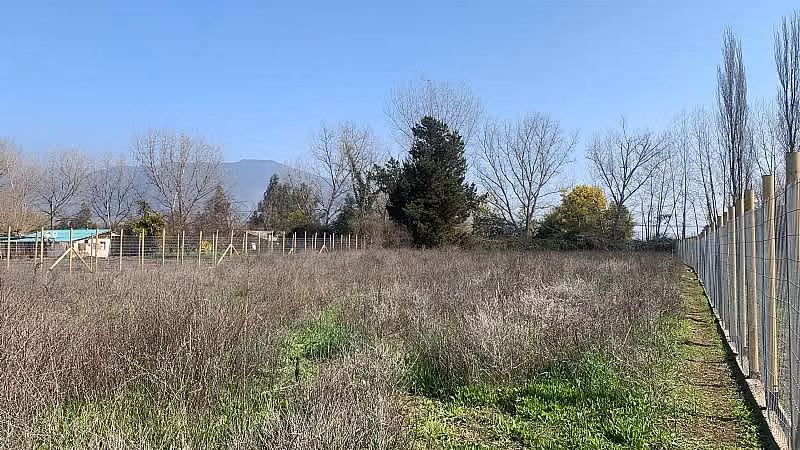 VENTA, PAINE, TERRENO 5.000 M2, COLONIA KENNEDY