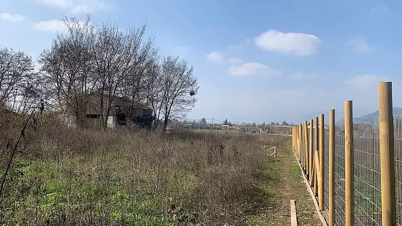 VENTA, PAINE, TERRENO 5.000 M2, COLONIA KENNEDY