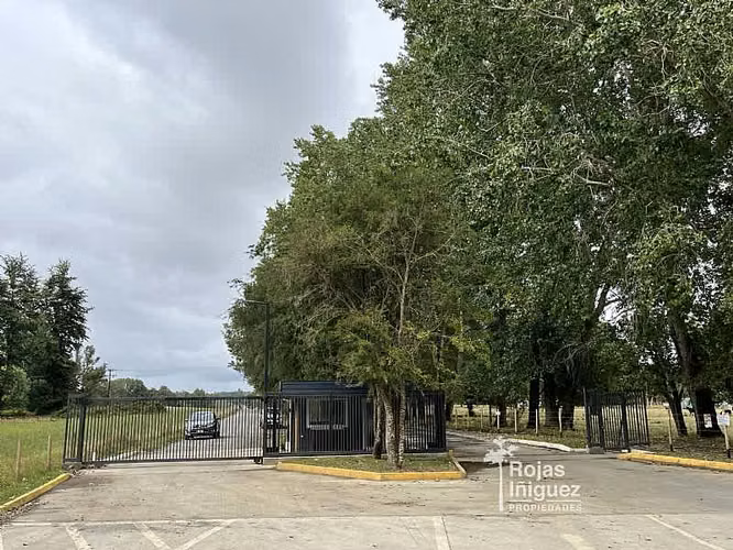 OSORNO CAMINO PUYEHUE