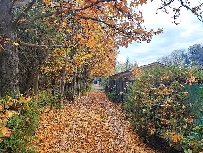 CAMINO BUIN MAIPO PARADERO 6
