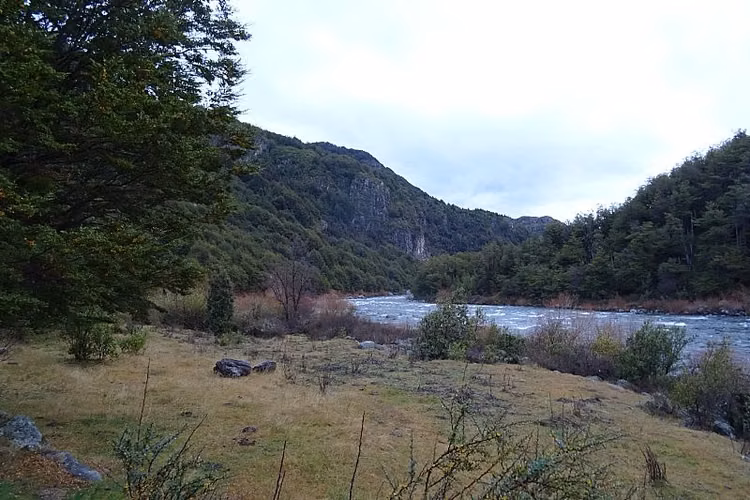 ORILLA RÍO CISNES 10,62 HA