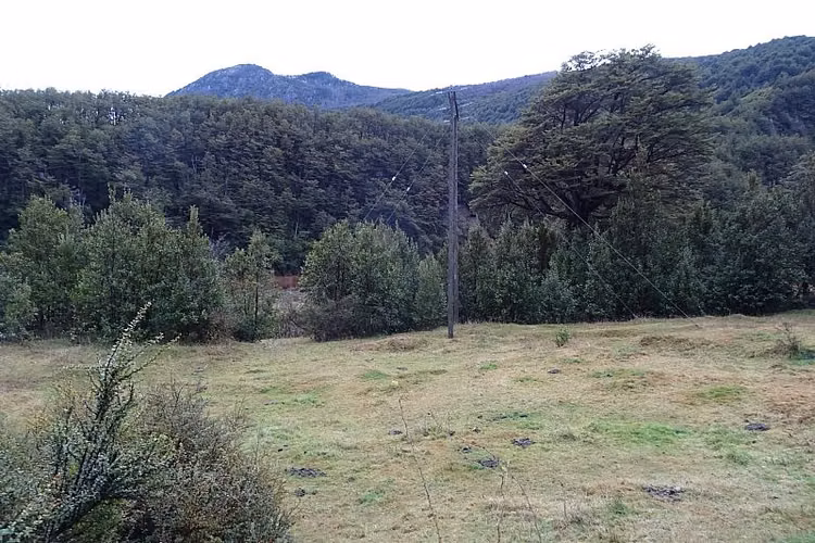 ORILLA RÍO CISNES 10,62 HA