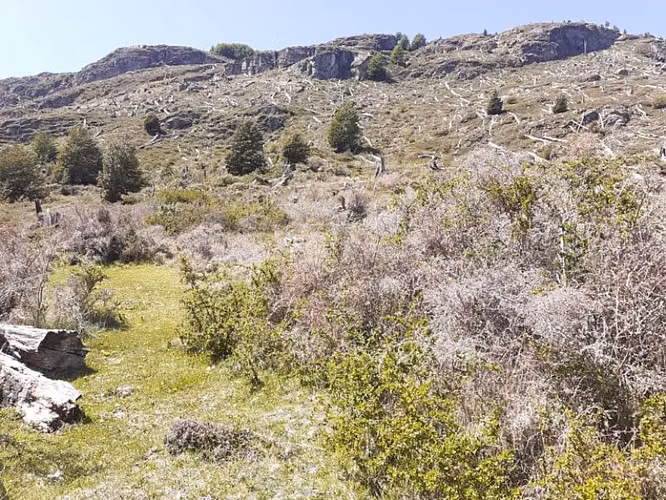 Sector Puerto Sanchez 12 ha