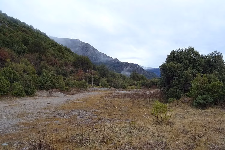 SECTOR CHOYQUEMORO 30 HA
