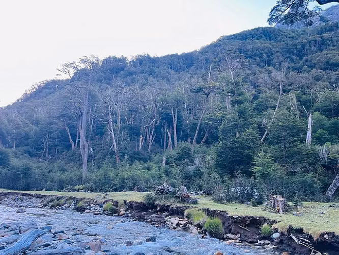 SECTOR EMPERADOR GUILLERMO 55,5 HA