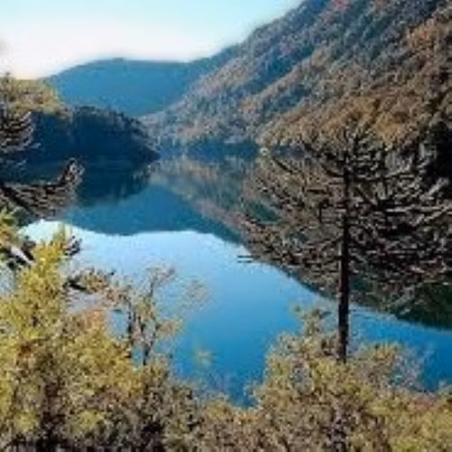 Vendo Parcela con Orilla Lago Tinquilco - Pucón
