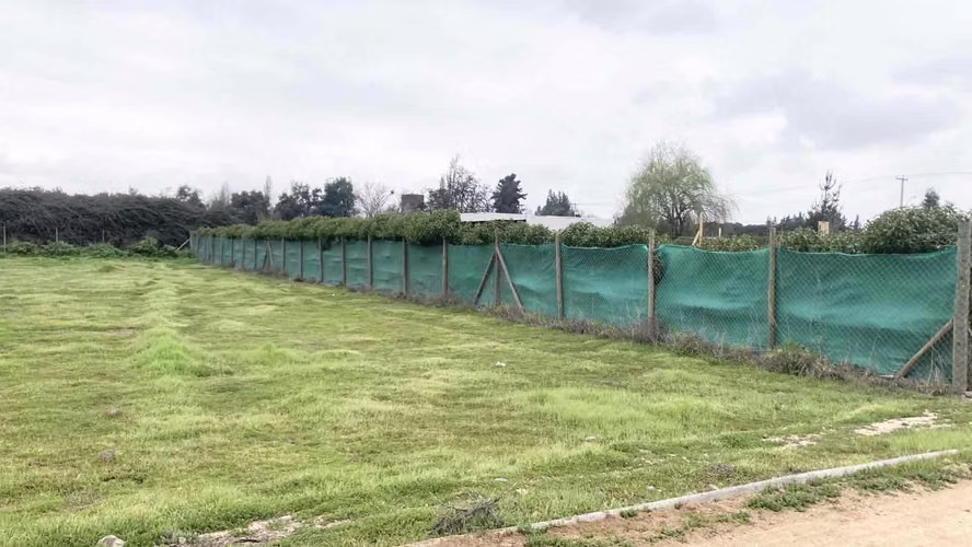 Venta Terreno 5000m2, Talagante - Imagen 8