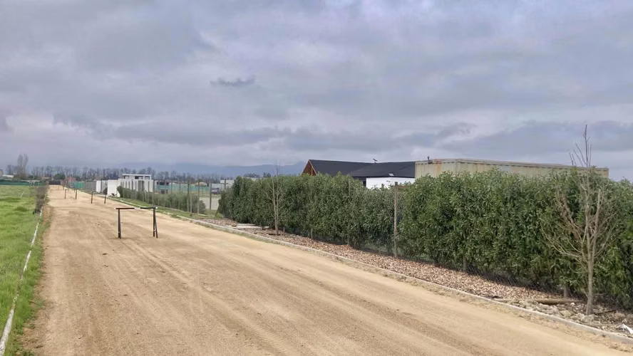 Venta Terreno 5000m2, Talagante - Imagen 4