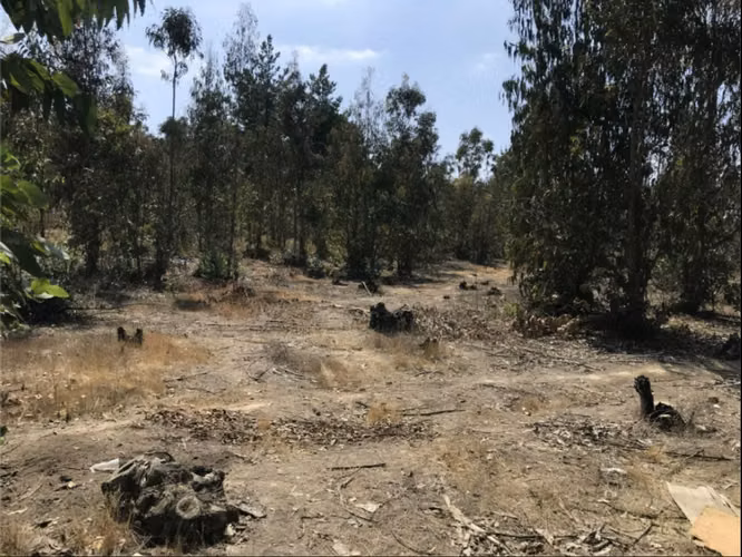 Venta Terreno 21.100 m2 - Placilla