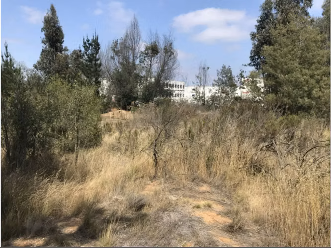 Venta Terreno 21.100 m2 - Placilla