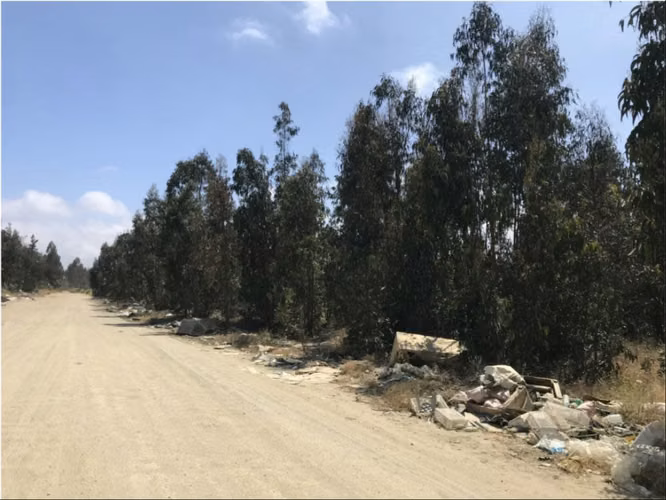 Venta Terreno 21.100 m2 - Placilla