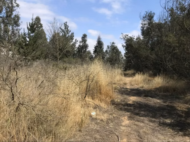 Venta Terreno 21.100 m2 - Placilla