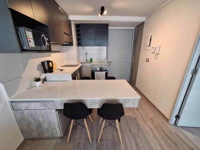 Arriendo departamento por día (44735)
