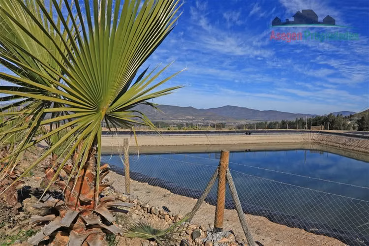 PARCELA Parcela, sector Altovalsol, a sólo 15 minutos de La Serena, Condominio Vista Bella - Imagen 12