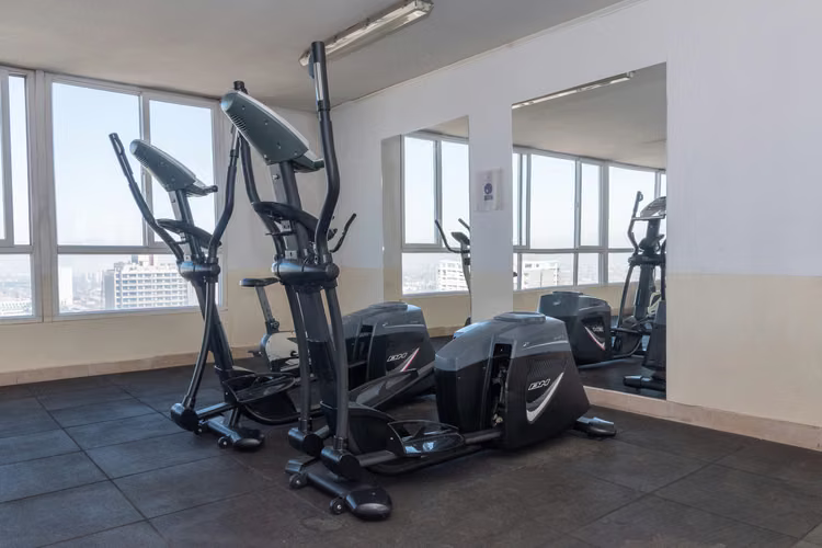 Toro Mazotte 110
