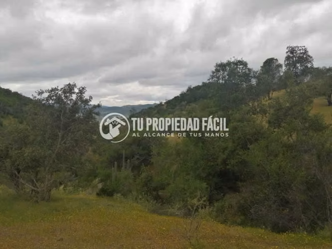 HERMOSA PARCELA, CERRO EL QUILLAY, RUTA J-680