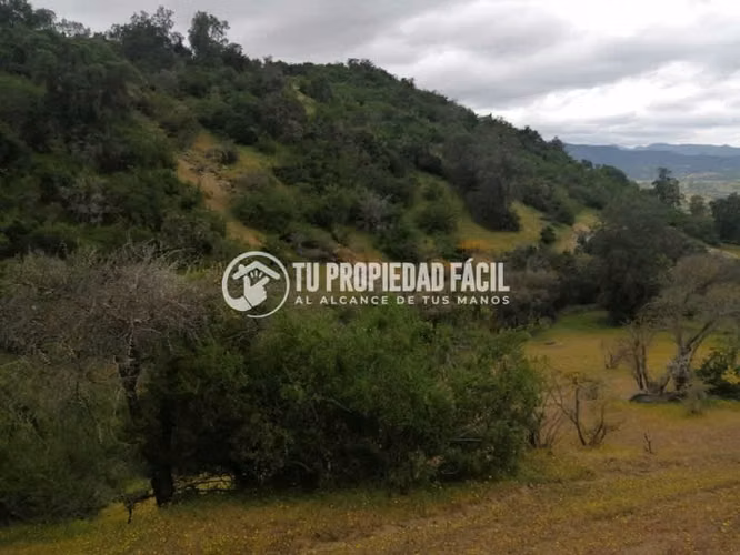 HERMOSA PARCELA, CERRO EL QUILLAY, RUTA J-680