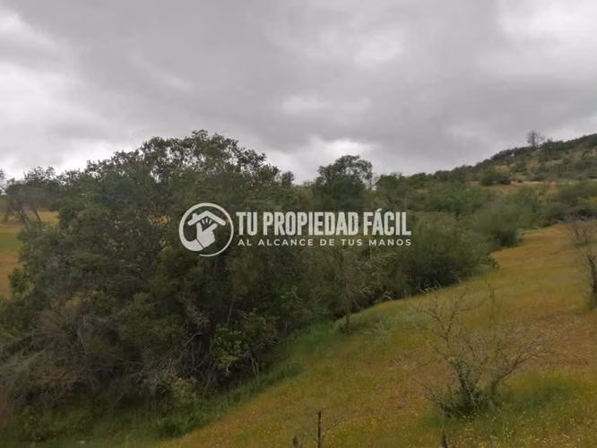 HERMOSA PARCELA, CERRO EL QUILLAY, RUTA J-680