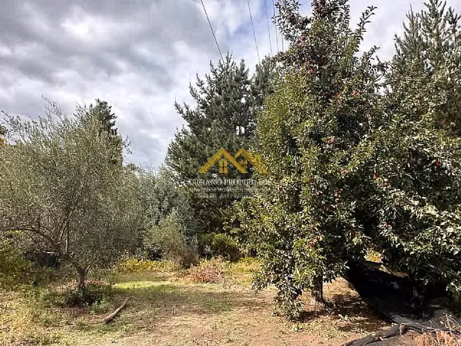 HERMOSA PARCELA CON 2 CASAS Y ARBOLES FRUTALES 2,24 Hectáreas