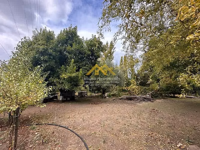 HERMOSA PARCELA CON 2 CASAS Y ARBOLES FRUTALES 2,24 Hectáreas