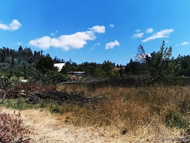 Parcela VENTA HERMOSO CAMPO CON ESTERO