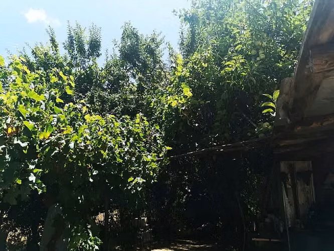 Parcela VENTA HERMOSO CAMPO CON ESTERO