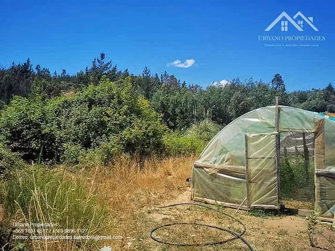 Parcela VENTA HERMOSO CAMPO CON ESTERO