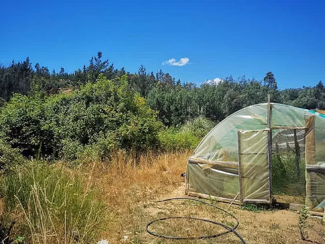 Parcela VENTA HERMOSO CAMPO CON ESTERO