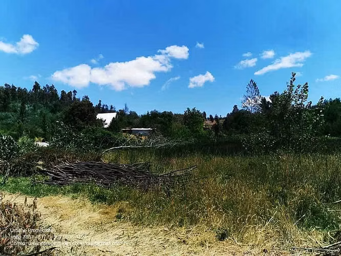 Parcela VENTA HERMOSO CAMPO CON ESTERO