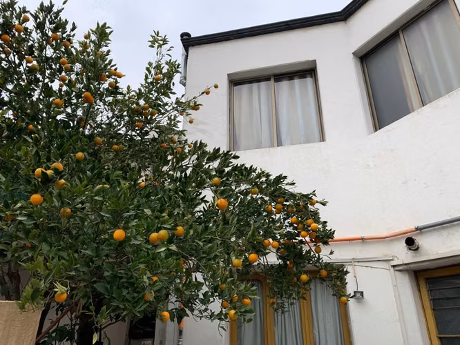 Hotel de 34 habitaciones en venta en Santiago Centro