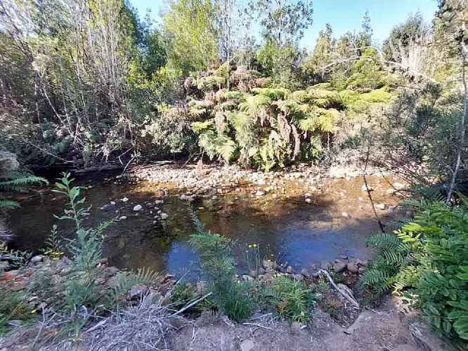 VENDO HERMOSA PARCELA EN LOS ALERCES DE LAUCA