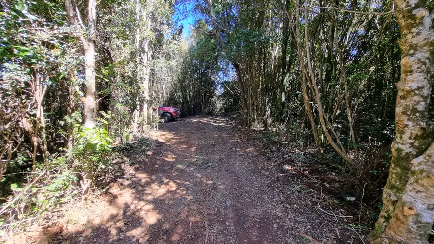 Hermosas Parcelas Sector San Ignacio