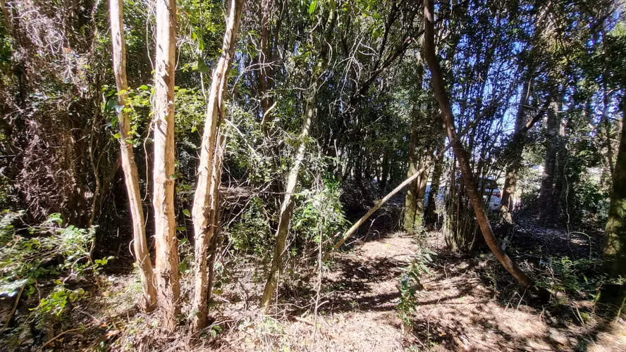Hermosas Parcelas Sector San Ignacio