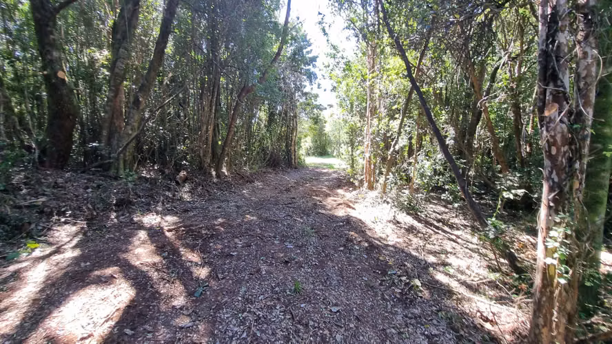 Hermosas Parcelas Sector San Ignacio
