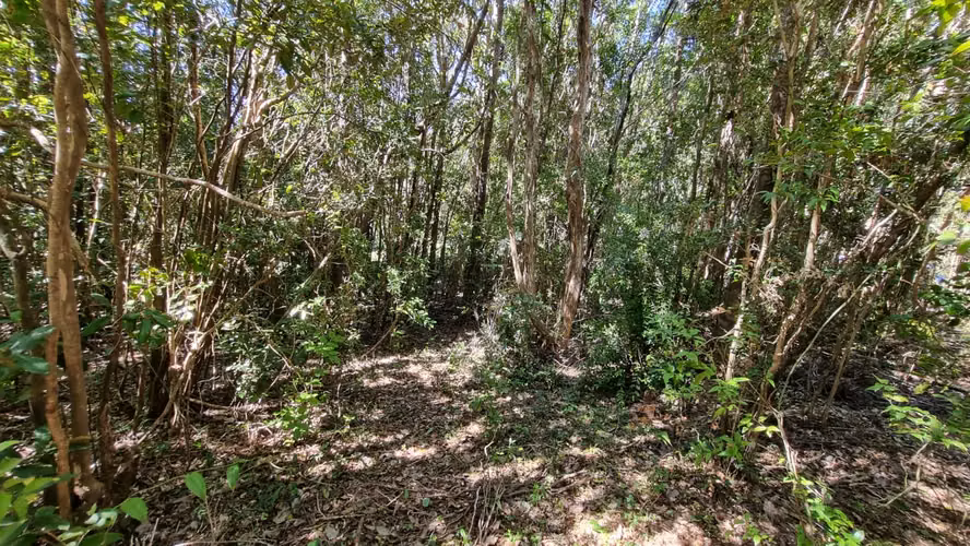 Hermosas Parcelas Sector San Ignacio