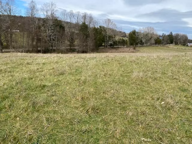 Parcela en el sector el Salto - Imagen 4