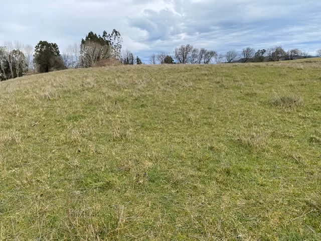 Parcela en el sector el Salto - Imagen 3