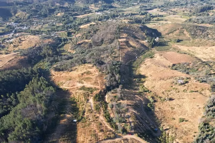 Parcela COYANCO QUILLON