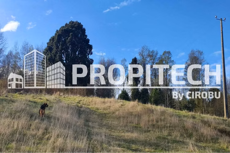 VENTA PARCELA 5000M2, LOS TALLOS, PANGUIPULLI. - Imagen 6