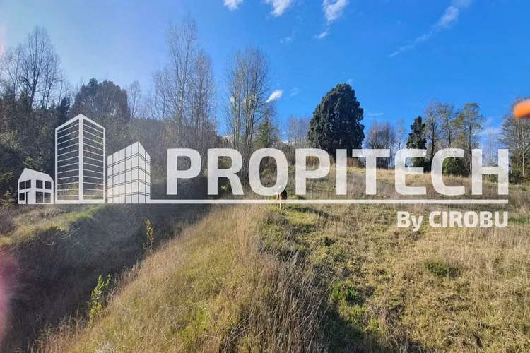 VENTA PARCELA 5000M2, LOS TALLOS, PANGUIPULLI. - Imagen 2