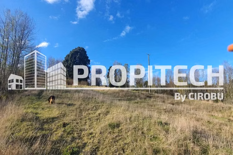 VENTA PARCELA 5000M2, LOS TALLOS, PANGUIPULLI. - Imagen 4