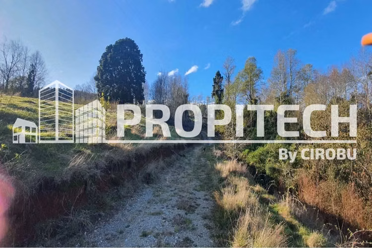 VENTA PARCELA 5000M2, LOS TALLOS, PANGUIPULLI. - Imagen 5