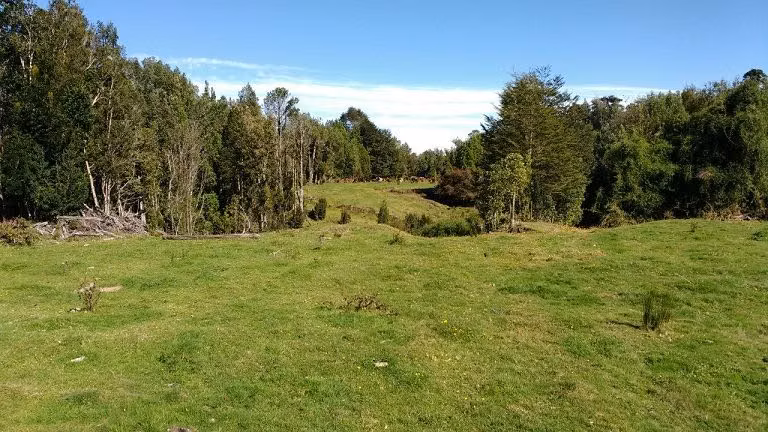 AGRICOLA palomar